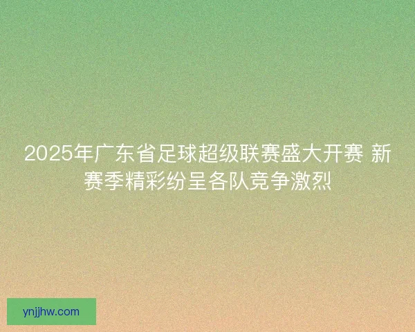 2025年广东省足球超级联赛盛大开赛 新赛季精彩纷呈各队竞争激烈