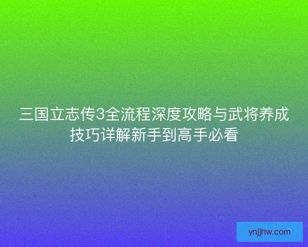 三国立志传3全流程深度攻略与武将养成技巧详解新手到高手必看