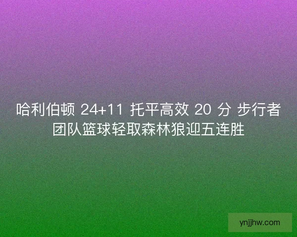 哈利伯顿 24+11 托平高效 20 分 步行者团队篮球轻取森林狼迎五连胜