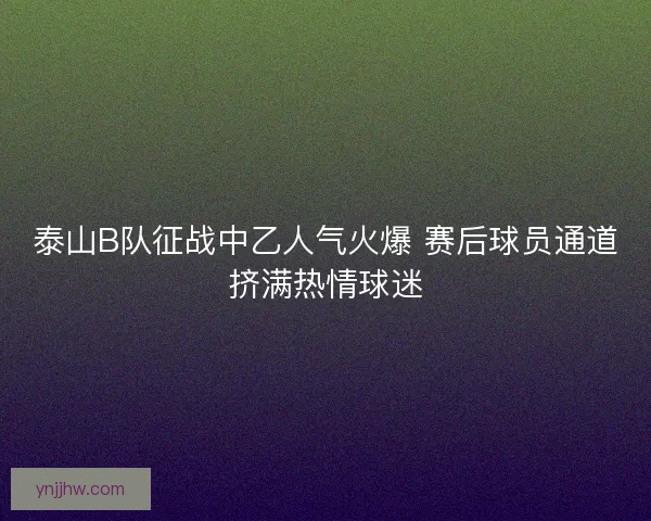 泰山B队征战中乙人气火爆 赛后球员通道挤满热情球迷