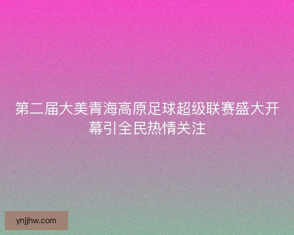 第二届大美青海高原足球超级联赛盛大开幕引全民热情关注